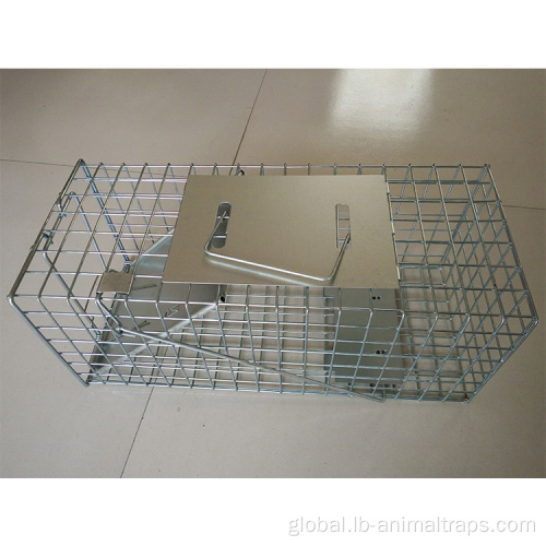 Medium Animal Cage Trap Humane live catch animal trap cage Manufactory